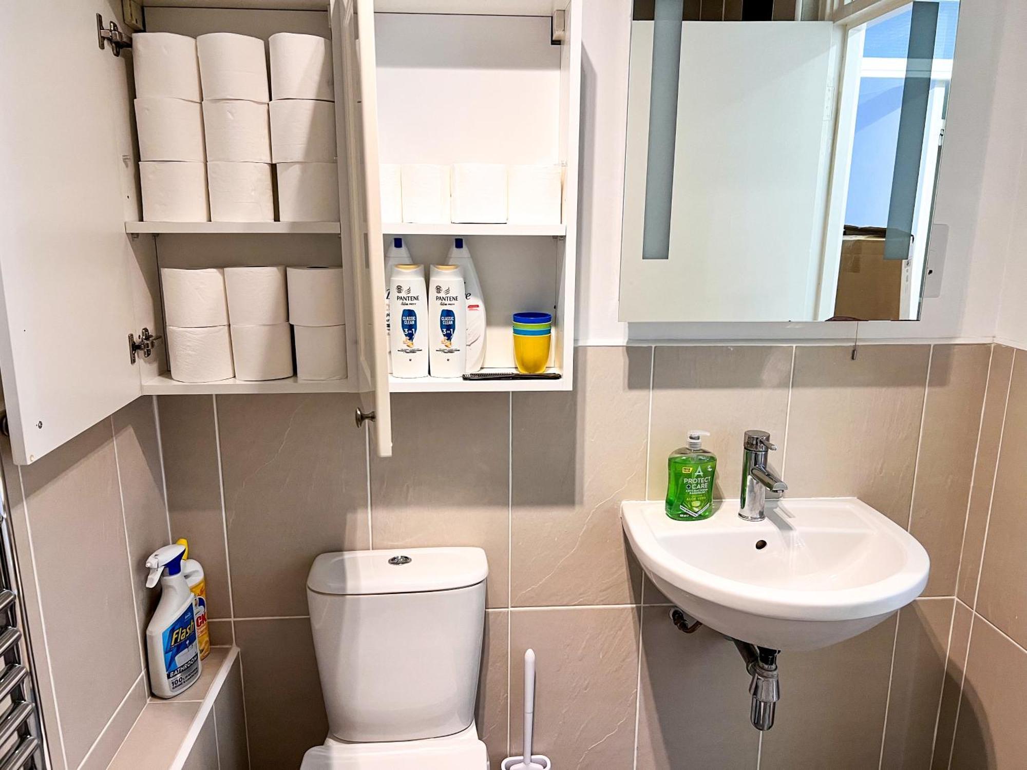 Great River Thames View Entire Apartment In The Most Central Londra Exterior foto